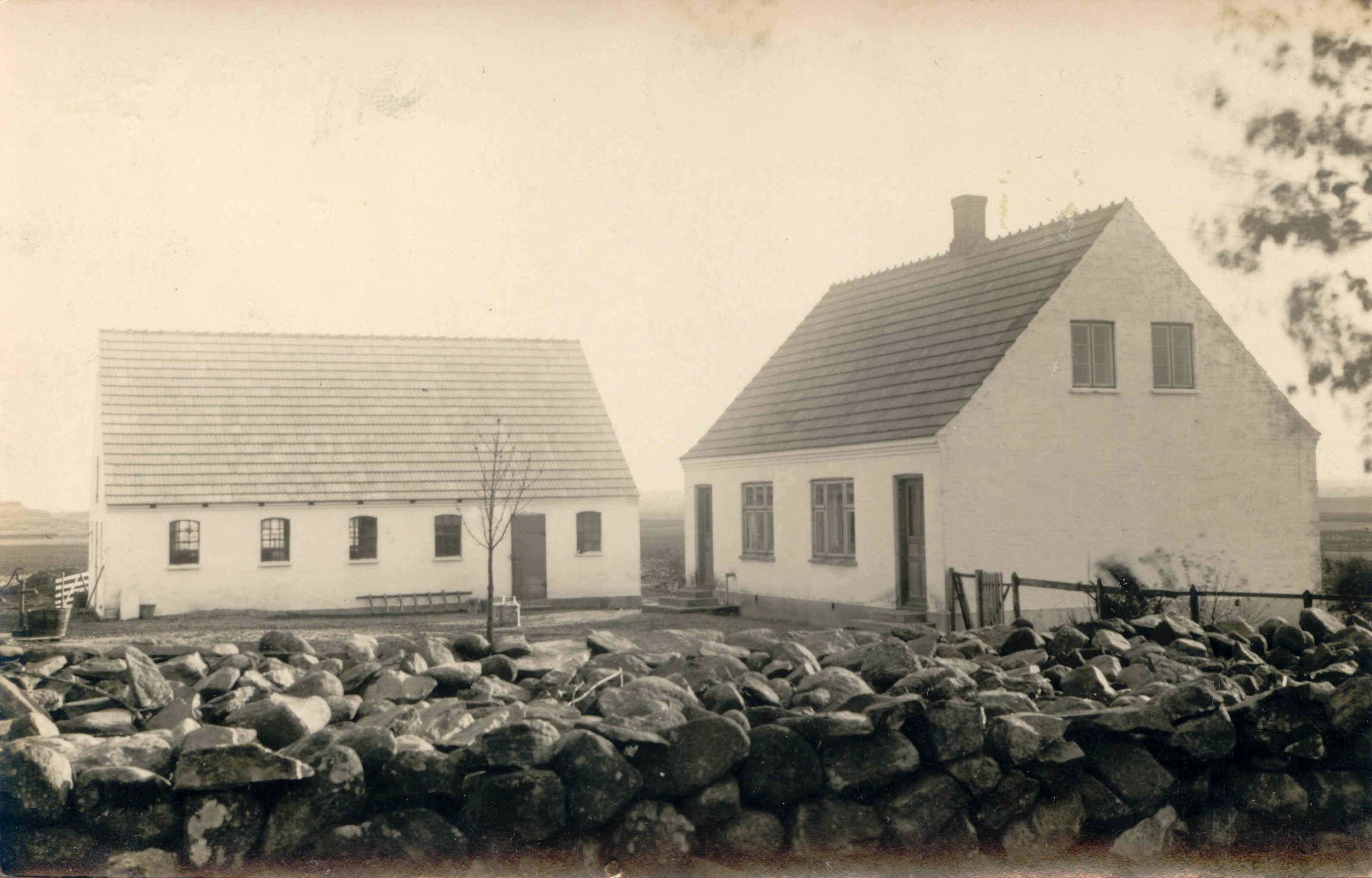 Damshøj Kølle